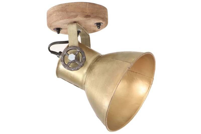 Industrielle vegg-/taklamper 2 stk messing 20x25 cm E27 - Belysning - Innendørsbelysning & Lamper - Vegglampe