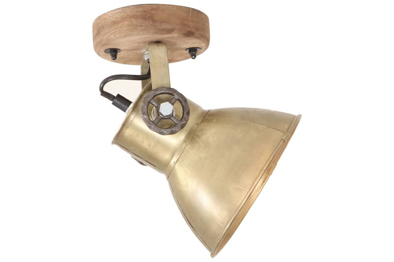 Industrielle vegg-/taklamper 2 stk messing 20x25 cm E27 - Belysning - Innendørsbelysning & Lamper - Vegglampe