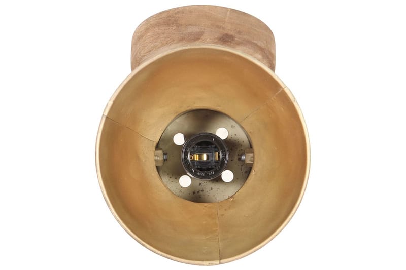 Industrielle vegg-/taklamper 2 stk messing 20x25 cm E27 - Belysning - Innendørsbelysning & Lamper - Vegglampe