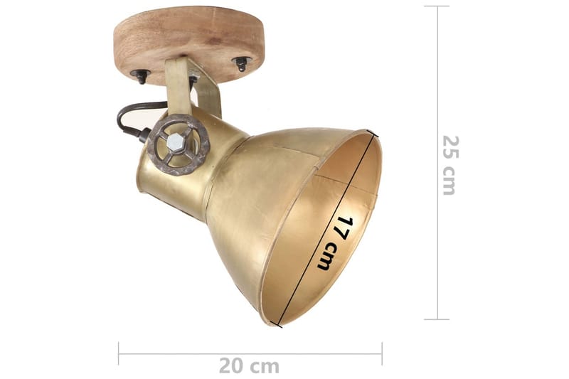 Industrielle vegg-/taklamper 2 stk messing 20x25 cm E27 - Belysning - Innendørsbelysning & Lamper - Vegglampe