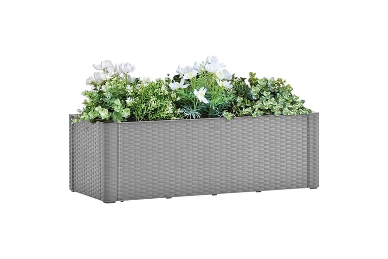 Høybed med selvvanningssystem grå 100x43x33 cm - Grå - Blomsterkasser - Hagekrukker