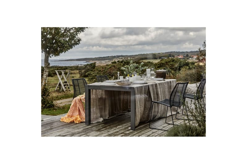 Bord Hillerstorp Borgdala 220/340 x 107 x H75,5 cm Grå - Hagemøbler - Hagebord - Spisebord ute