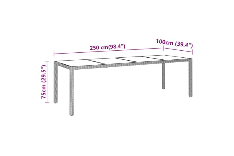 Hagebord 250x100x75 cm herdet glass og polyrotting svart - Svart - Hagemøbler - Hagebord - Spisebord ute