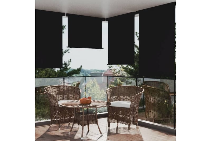 Sidemarkise for balkong 117x250 cm svart - Svart - Vindusmarkise - Markiser - Solbeskyttelse vindu