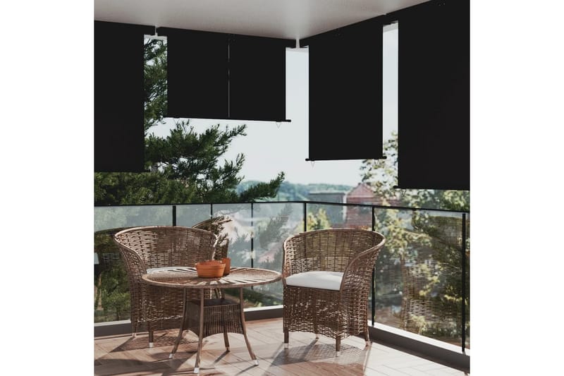Sidemarkise for balkong 160x250 cm svart - Svart - Vindusmarkise - Markiser - Solbeskyttelse vindu