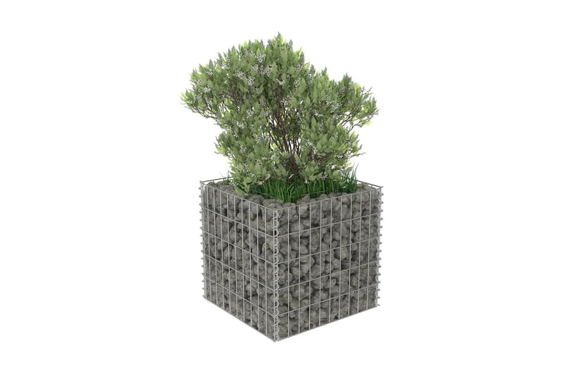 Gabion høybed galvanisert stål 50x50x50 cm - Hus & oppussing - Innsynsbeskyttelse & innhegning - Mur - Gabion