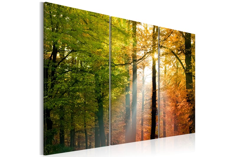 Bilde A Calm Autumn Forest 120x80 - Artgeist sp. z o. o. - Innredning - Bilder & kunst - Lerretsbilder