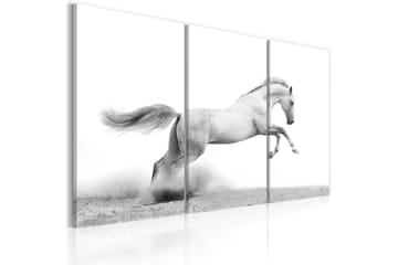 Bilde A galloping horse 90x60