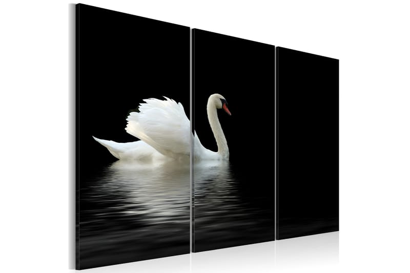 Bilde A lonely white swan 90x60 - Artgeist sp. z o. o. - Innredning - Bilder & kunst - Lerretsbilder