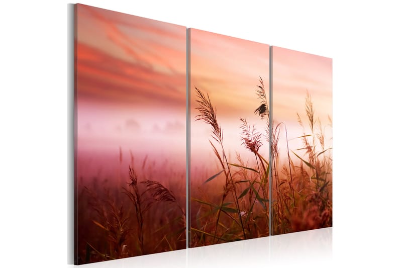 Bilde A Silent Meadow 120x80 - Artgeist sp. z o. o. - Innredning - Bilder & kunst - Lerretsbilder