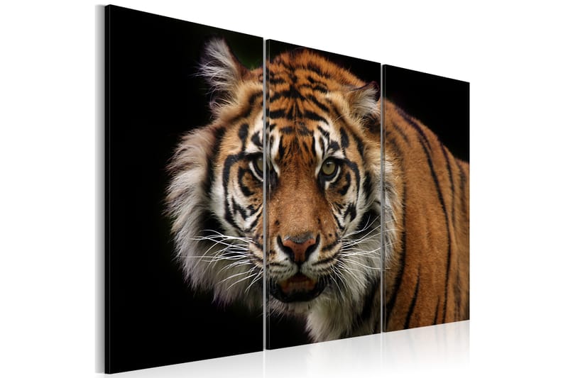 Bilde A Wild Tiger 120x80 - Artgeist sp. z o. o. - Innredning - Bilder & kunst - Lerretsbilder