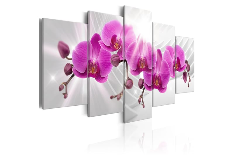 Bilde Abstract Garden Pink Orchids 200x100 - Artgeist sp. z o. o. - Innredning - Bilder & kunst - Lerretsbilder