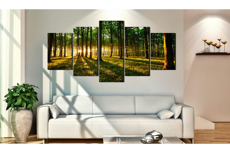 Bilde Adventure In The Woods 200x100 - Artgeist sp. z o. o. - Innredning - Bilder & kunst - Lerretsbilder