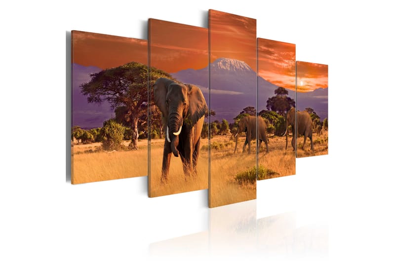 Bilde Africa Elephants 100x50 - Artgeist sp. z o. o. - Innredning - Bilder & kunst - Lerretsbilder