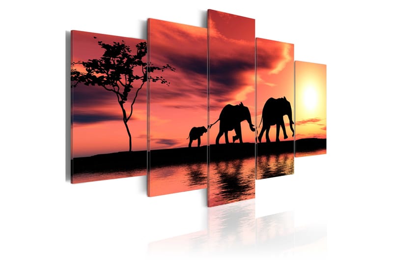 Bilde African Elephants Family 100x50 - Artgeist sp. z o. o. - Innredning - Bilder & kunst - Lerretsbilder