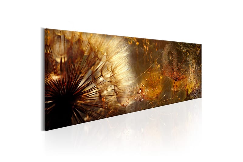 Bilde Amber Morning 150x50 - Artgeist sp. z o. o. - Innredning - Bilder & kunst - Lerretsbilder