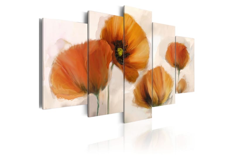 Bilde Artistic Poppies 5 Pieces 200x100 - Artgeist sp. z o. o. - Innredning - Bilder & kunst - Lerretsbilder