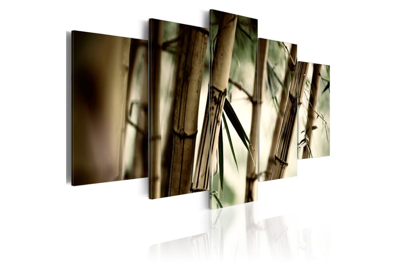 Bilde Asian Bamboo Forest 100x50 - Artgeist sp. z o. o. - Innredning - Bilder & kunst - Lerretsbilder