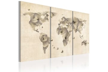 Bilde Atlas of butterflies 90x60