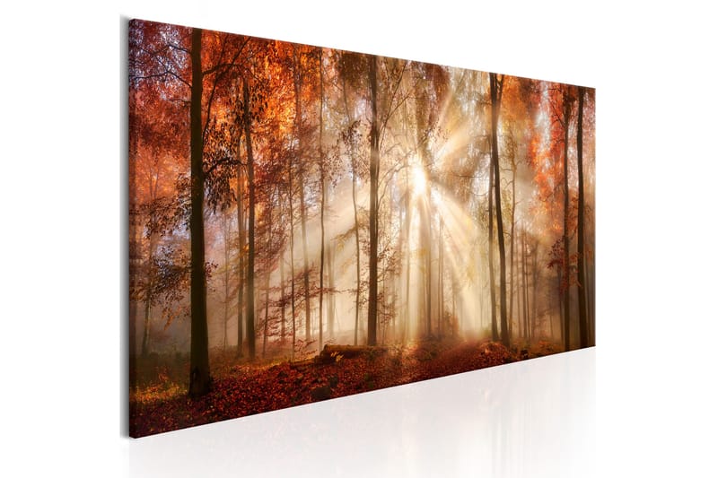 Bilde Autumnal Dawn 135x45 - Artgeist sp. z o. o. - Innredning - Bilder & kunst - Lerretsbilder