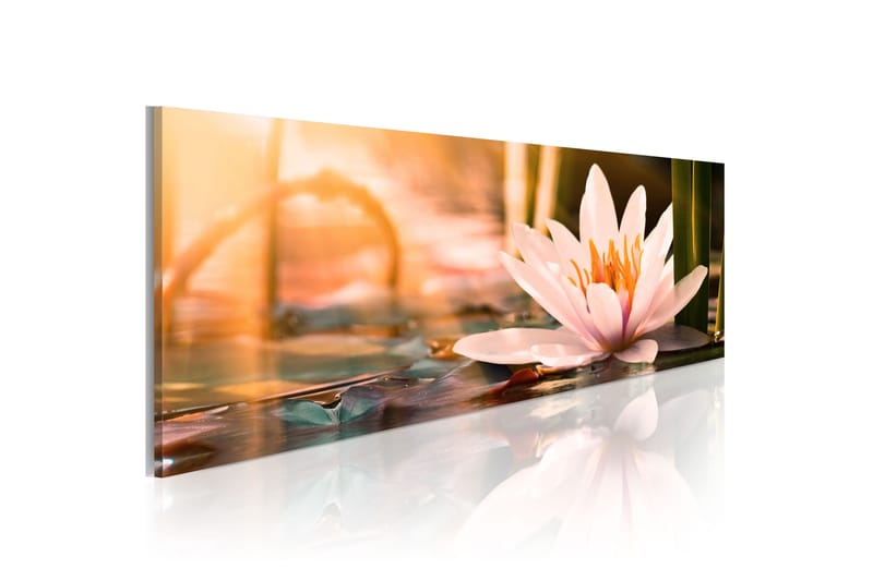 Bilde Beautiful Lotus 150x50 - Artgeist sp. z o. o. - Innredning - Bilder & kunst - Lerretsbilder