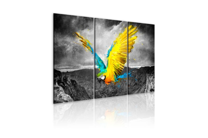 Bilde Bird-of-paradise 90x60 - Artgeist sp. z o. o. - Innredning - Bilder & kunst - Lerretsbilder