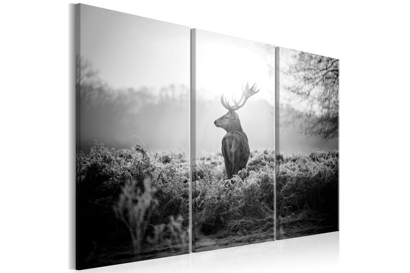 Bilde Black And White Deer 120x80 - Artgeist sp. z o. o. - Innredning - Bilder & kunst - Lerretsbilder