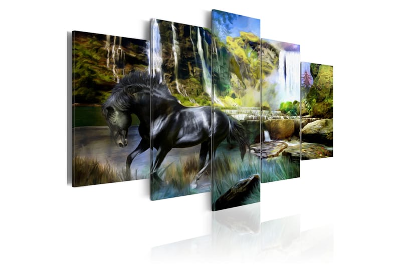 Bilde Black Horse Background Of Paradise Waterfall 100x50 - Artgeist sp. z o. o. - Innredning - Bilder & kunst - Lerretsbilder