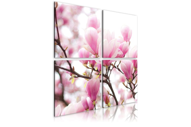 Bilde Blomstrende Magnolia Tre 40x40 - Artgeist sp. z o. o. - Innredning - Bilder & kunst - Lerretsbilder