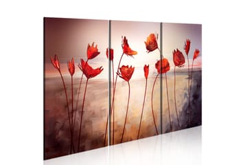 Bilde Bright Red Poppies 60x40