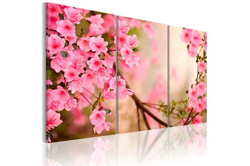 Bilde Cherry Flower 120x80 - Artgeist sp. z o. o. - Innredning - Bilder & kunst - Lerretsbilder