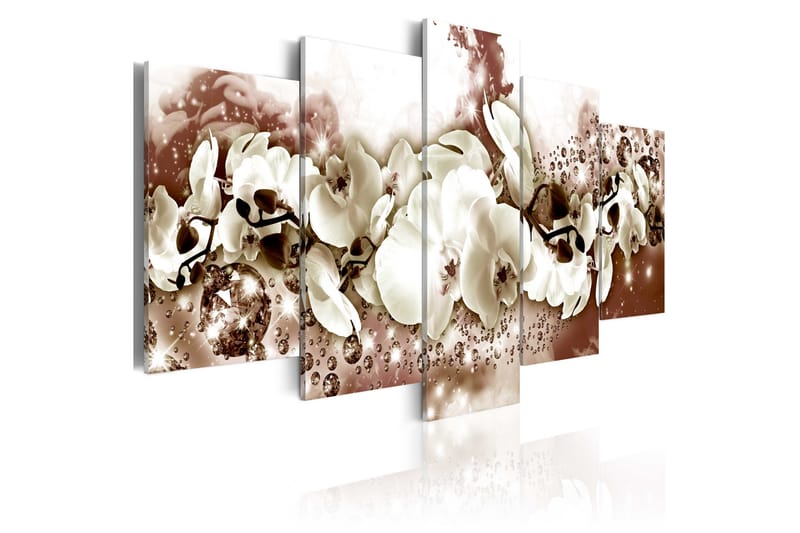 Bilde Chocolate Orchid 200x100 - Artgeist sp. z o. o. - Innredning - Bilder & kunst - Lerretsbilder