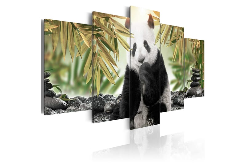 Bilde Cute Panda Bear 200x100 - Artgeist sp. z o. o. - Innredning - Bilder & kunst - Lerretsbilder