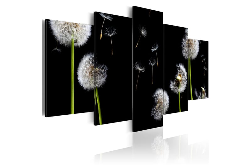 Bilde Dandelion- Towards Freedom 200x100 - Artgeist sp. z o. o. - Innredning - Bilder & kunst - Lerretsbilder