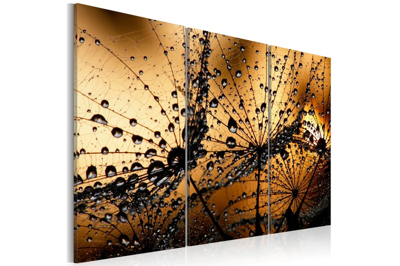 Bilde Dandelions and dew 90x60 - Artgeist sp. z o. o. - Innredning - Bilder & kunst - Lerretsbilder