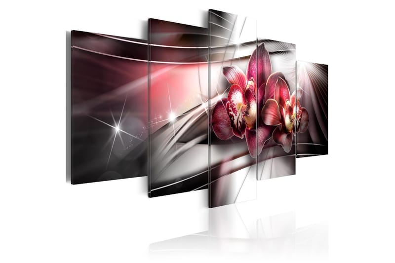 Bilde Dark Beauty 100x50 - Artgeist sp. z o. o. - Innredning - Bilder & kunst - Lerretsbilder