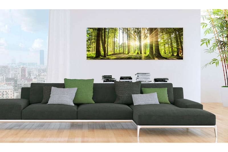 Bilde Daylight 120x40 - Artgeist sp. z o. o. - Innredning - Bilder & kunst - Lerretsbilder