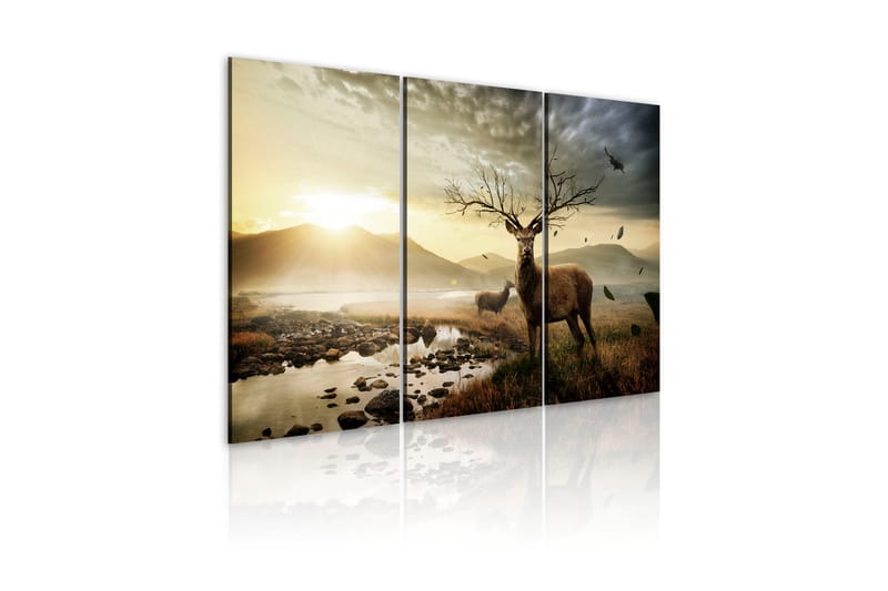 Bilde Deer 90x60 - Artgeist sp. z o. o. - Innredning - Bilder & kunst - Lerretsbilder