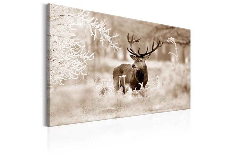 Bilde Deer In Sepia 90x60 - Artgeist sp. z o. o. - Innredning - Bilder & kunst - Lerretsbilder