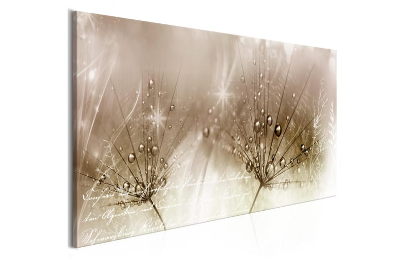 Bilde Drops Of Dew 1 Part Brown Wide 100x45 - Artgeist sp. z o. o. - Innredning - Bilder & kunst - Lerretsbilder