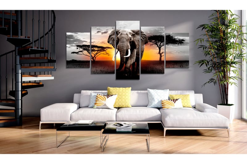 Bilde Elephant At Sunset 100x50 - Artgeist sp. z o. o. - Innredning - Bilder & kunst - Lerretsbilder