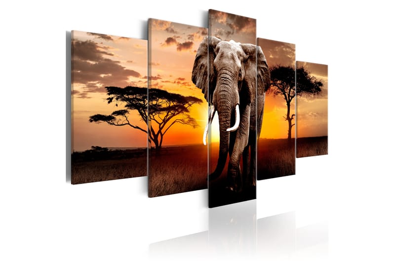 Bilde Elephant Migration 100x50 - Artgeist sp. z o. o. - Innredning - Bilder & kunst - Lerretsbilder