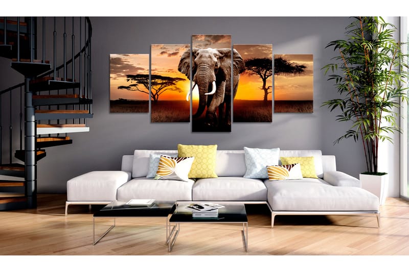 Bilde Elephant Migration 100x50 - Artgeist sp. z o. o. - Innredning - Bilder & kunst - Lerretsbilder