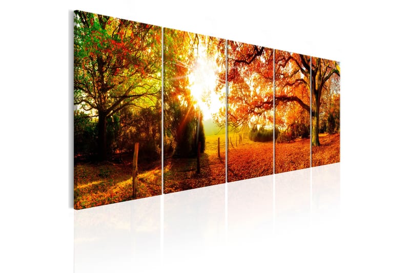 Bilde Enchanting Autumn 225x90 - Artgeist sp. z o. o. - Innredning - Bilder & kunst - Lerretsbilder