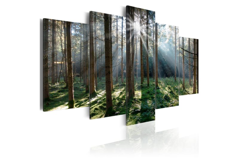 Bilde Fairytale Forest 100x50 - Artgeist sp. z o. o. - Innredning - Bilder & kunst - Lerretsbilder