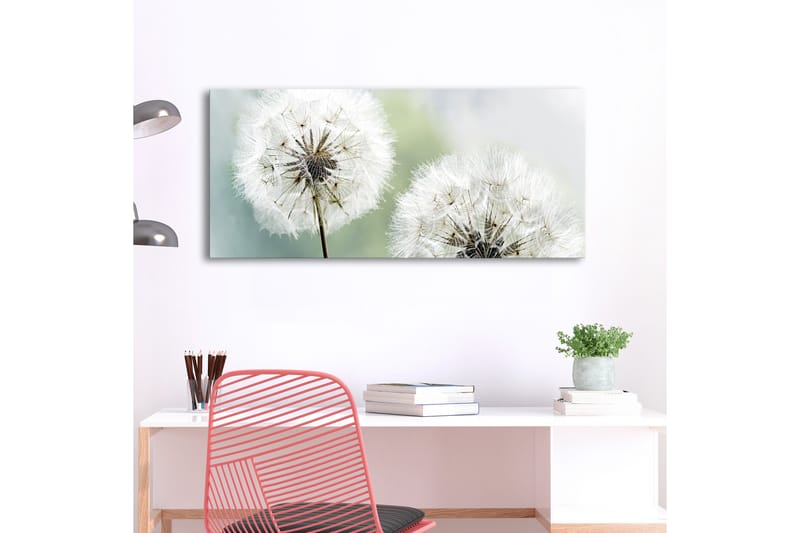 Bilde Fluffy Dandelions 100x45 - Artgeist sp. z o. o. - Innredning - Bilder & kunst - Lerretsbilder