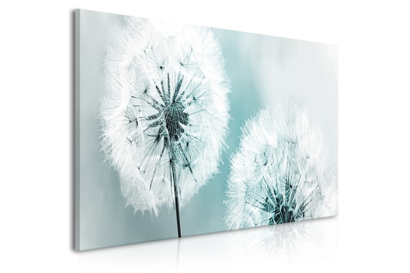 Bilde Fluffy Dandelions 100x45 - Artgeist sp. z o. o. - Innredning - Bilder & kunst - Lerretsbilder