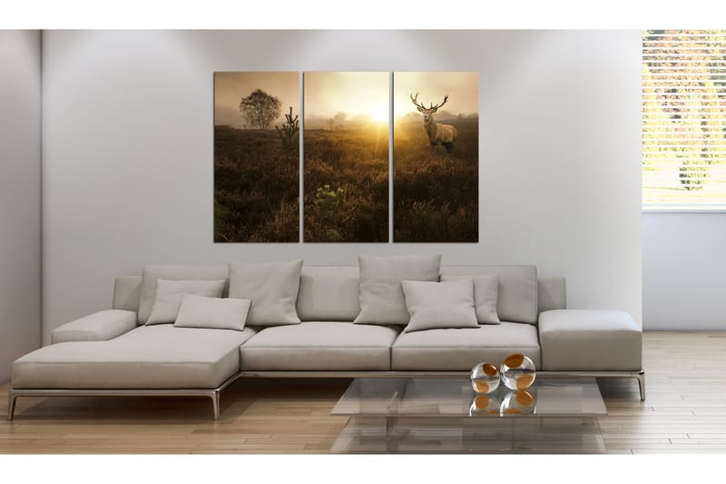 Bilde Foggy Field 120x80 - Artgeist sp. z o. o. - Innredning - Bilder & kunst - Lerretsbilder