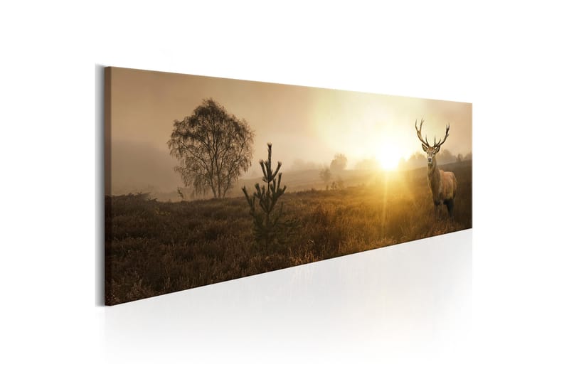 Bilde Foggy Morning 135x45 - Artgeist sp. z o. o. - Innredning - Bilder & kunst - Lerretsbilder