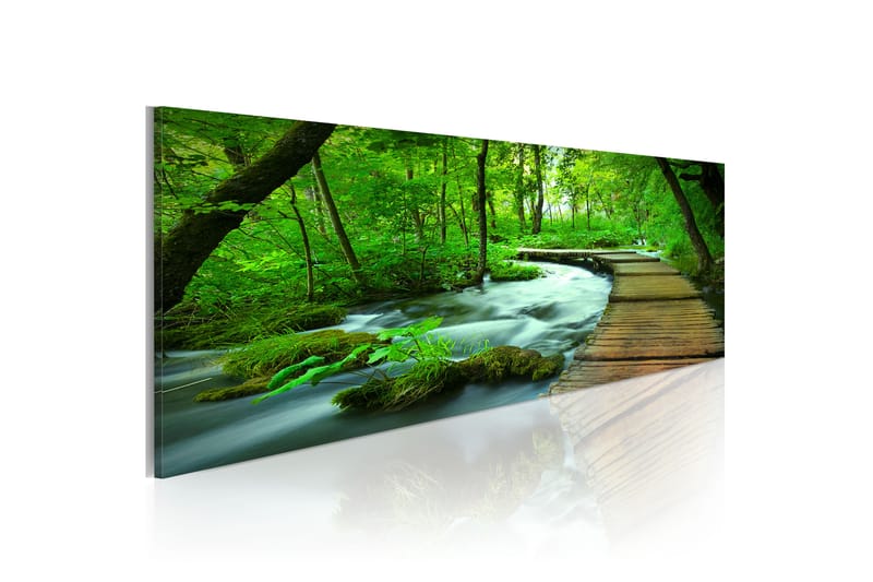 Bilde Forest Broadwalk 120x40 - Artgeist sp. z o. o. - Innredning - Bilder & kunst - Lerretsbilder